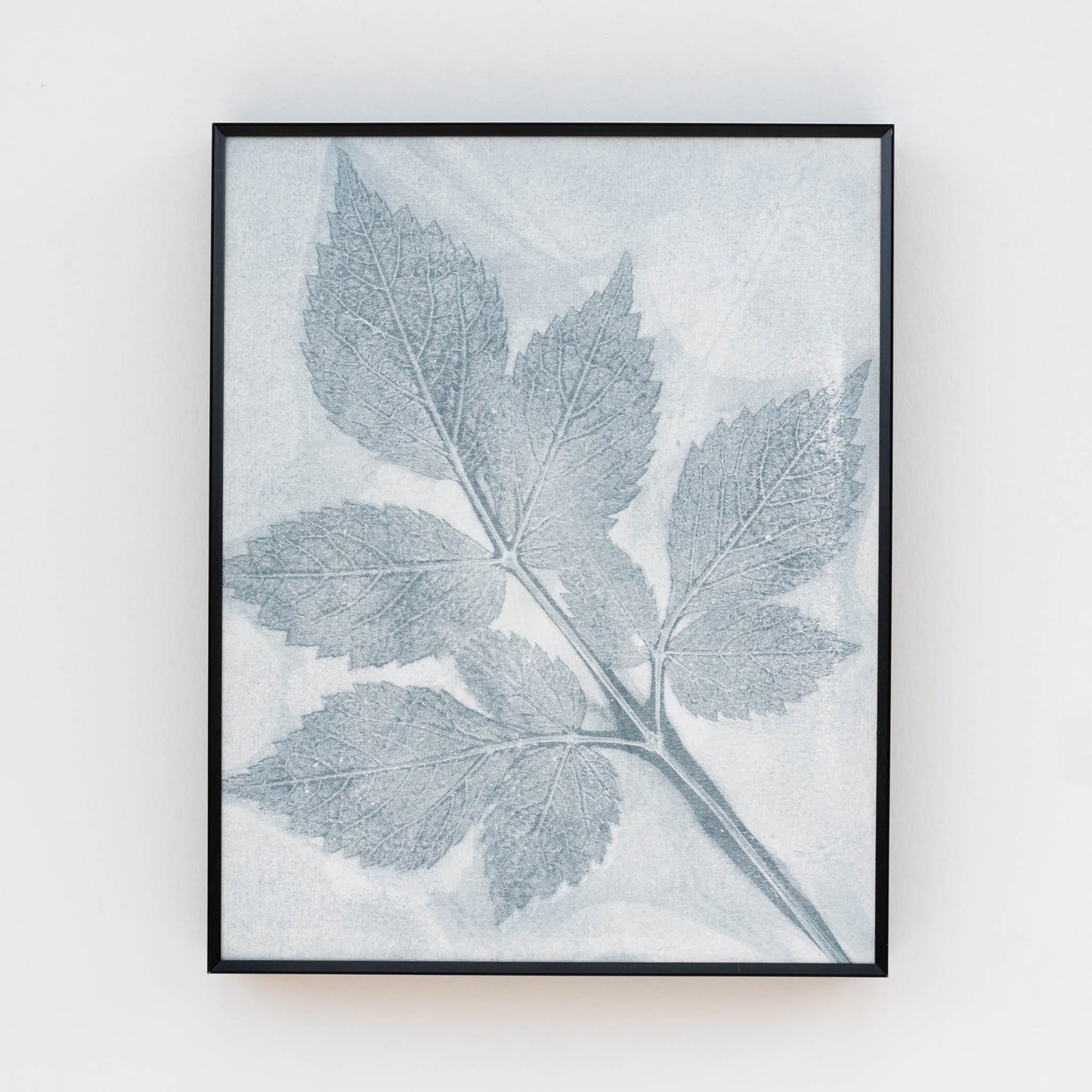 Naturewalk Monoprint XI