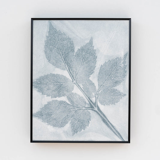 Naturewalk Monoprint XI