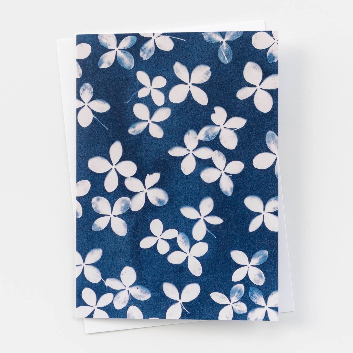 Botanical Cyanotype Card | Hydrangea Flowers
