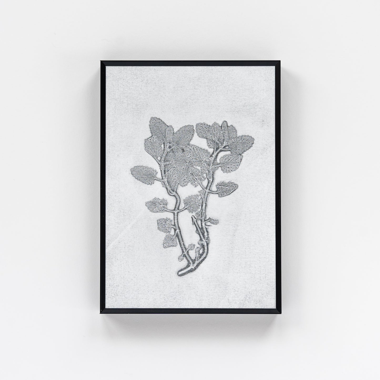 Nature Walk Monoprint VII