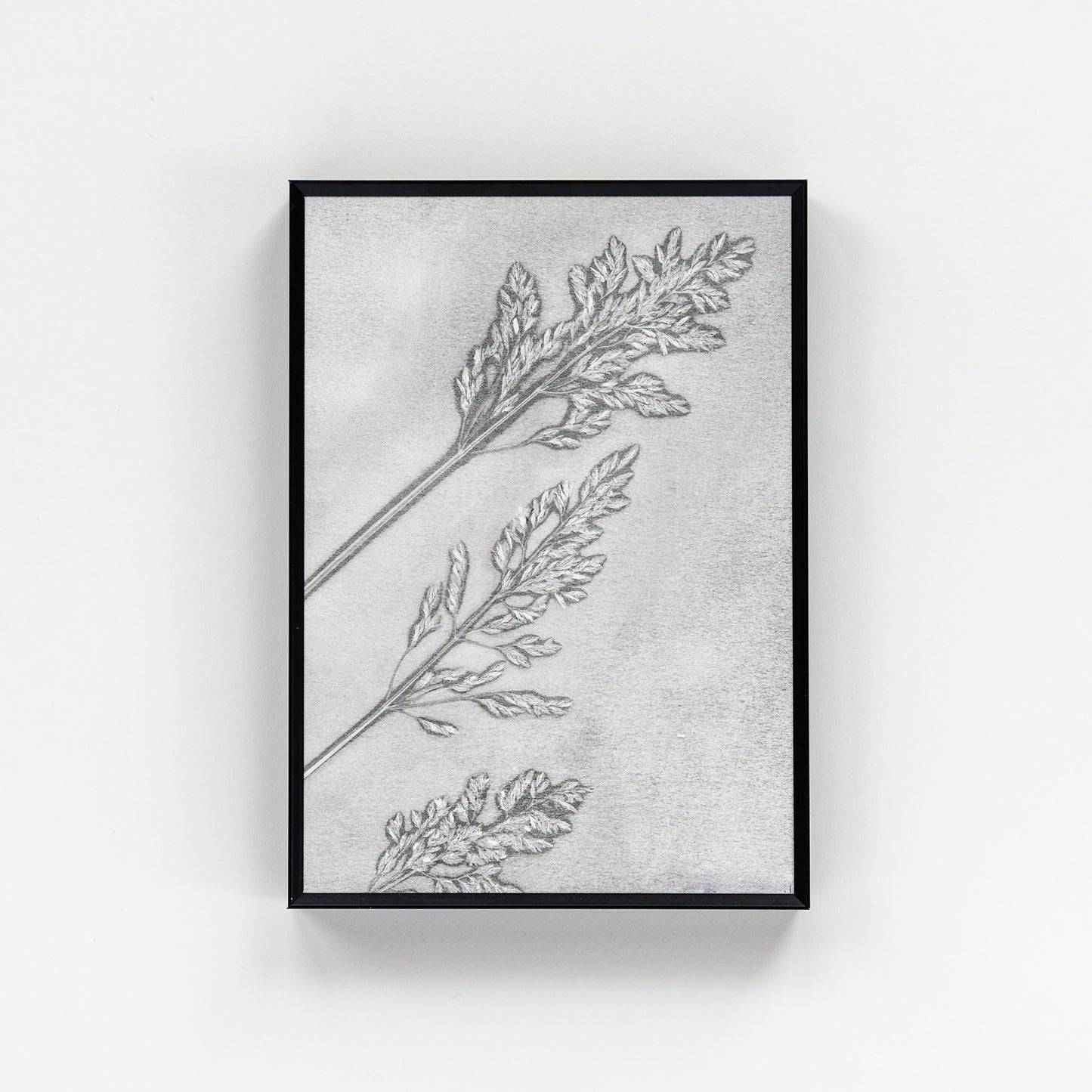 Wild Grass Monoprint II