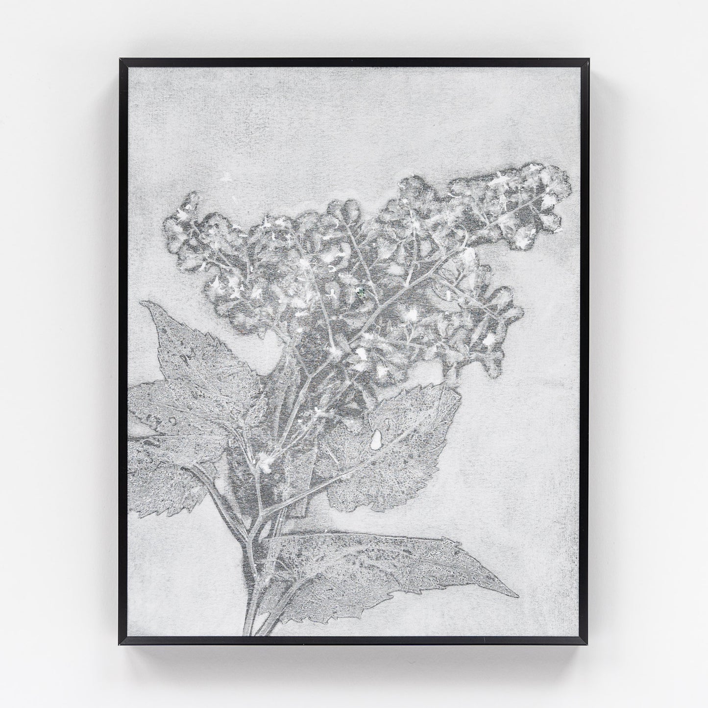 Nature Walk Monoprint III