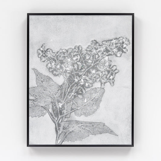 Nature Walk Monoprint III