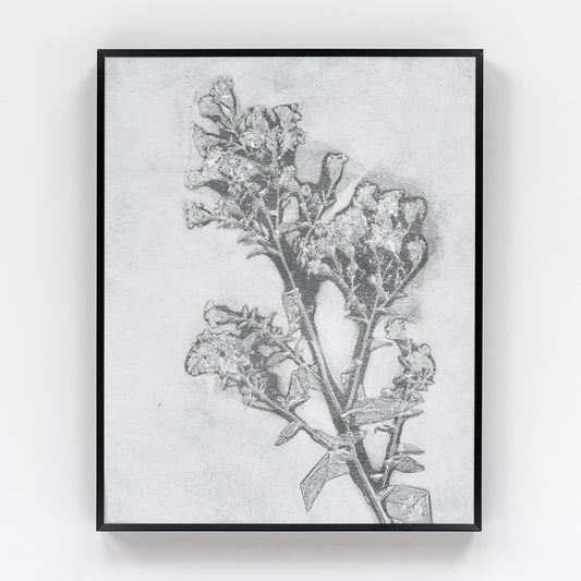 Nature Walk Monoprint IV