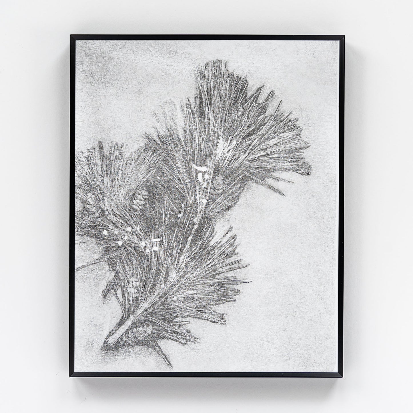 Pine Monoprint