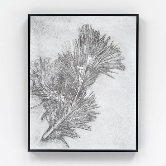 Pine Monoprint