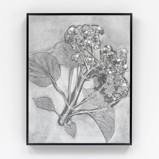Naturewalk Monoprint V