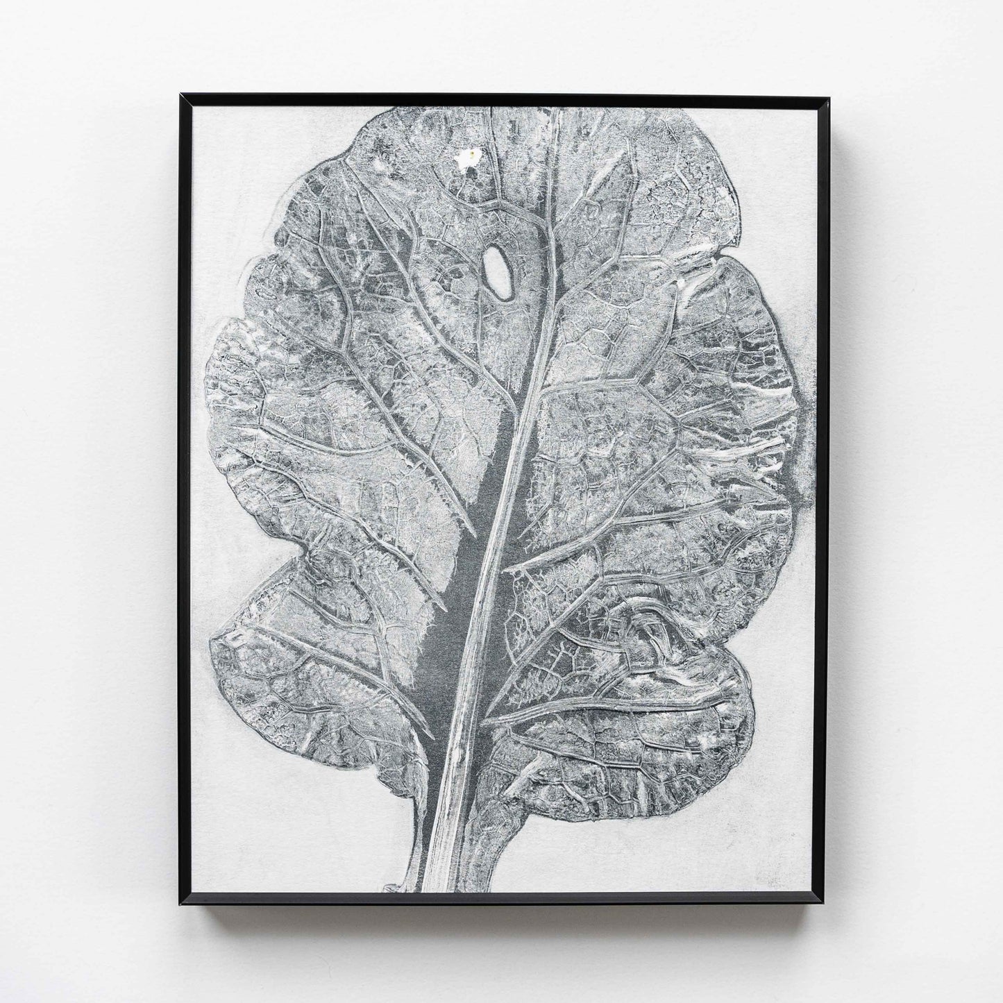 Naturewalk Monoprint IX