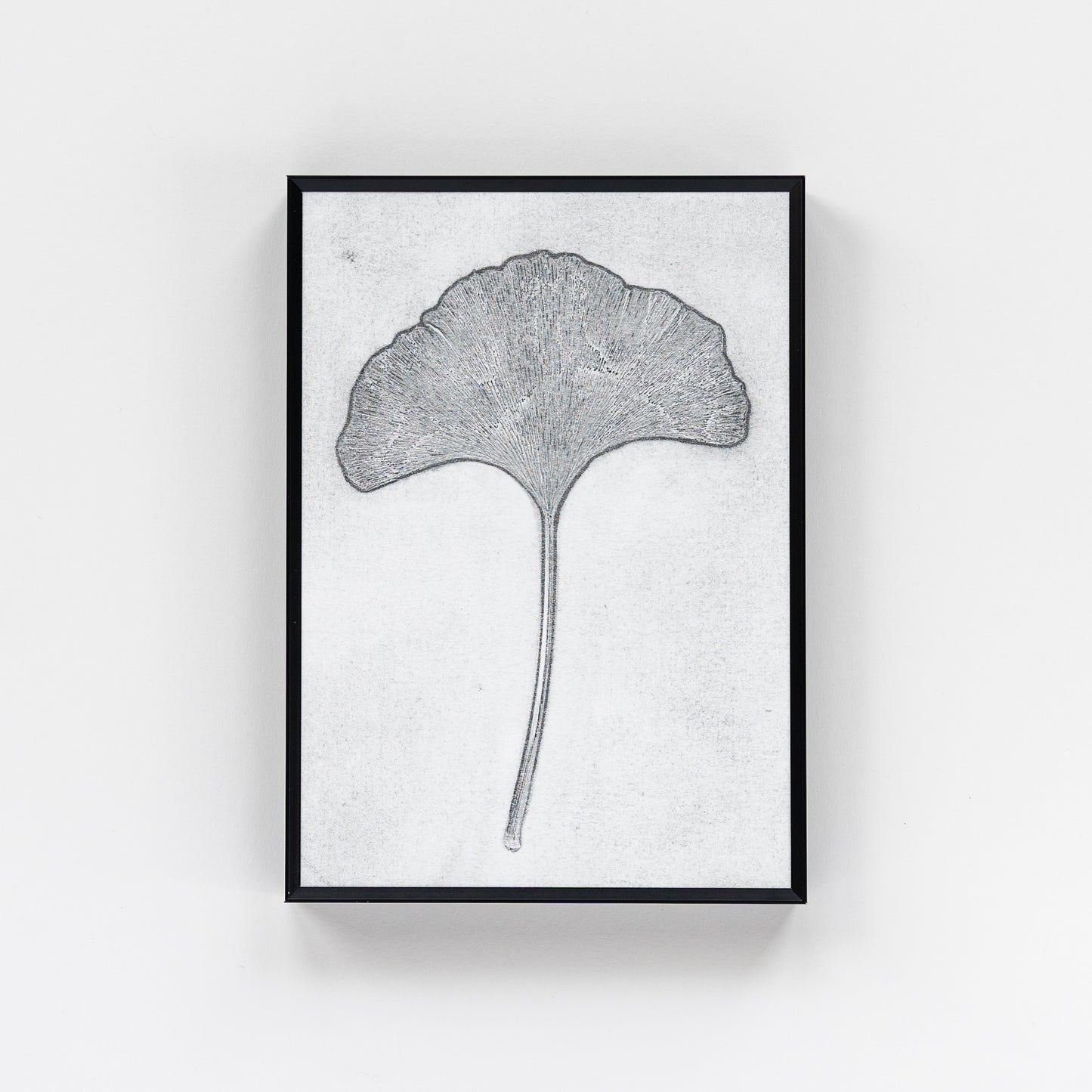 Ginkgo Leaf Monoprint II
