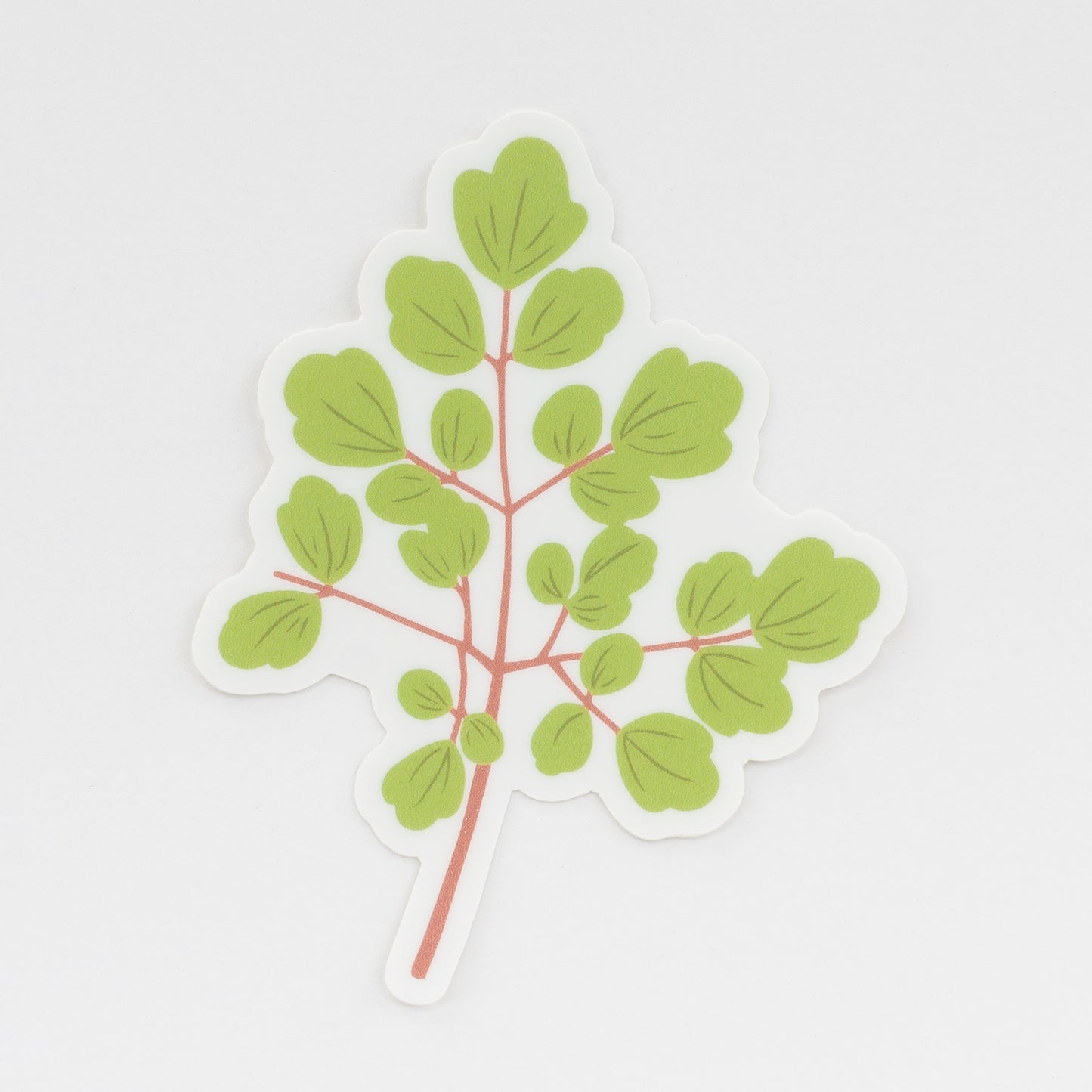 Maidenhair Fern Sticker