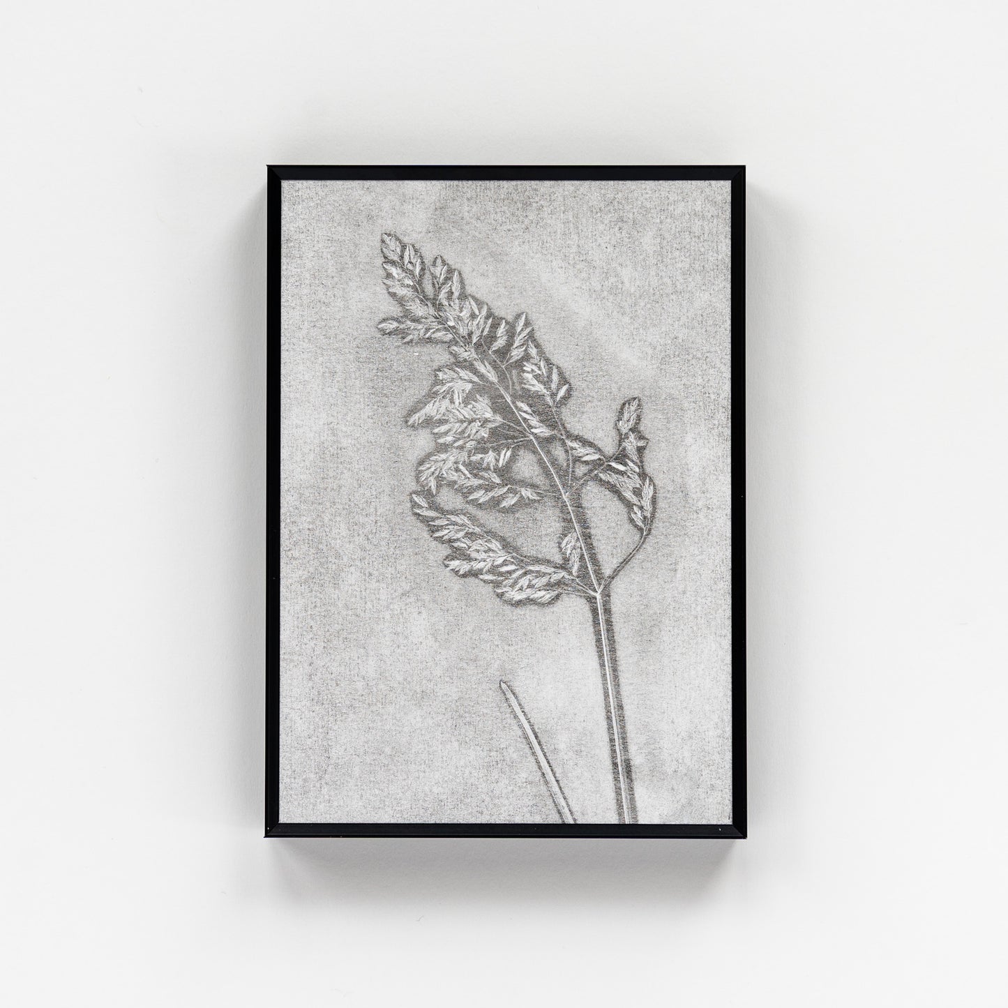 Wild Grass Monoprint I