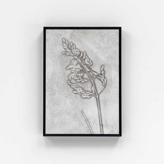 Wild Grass Monoprint I