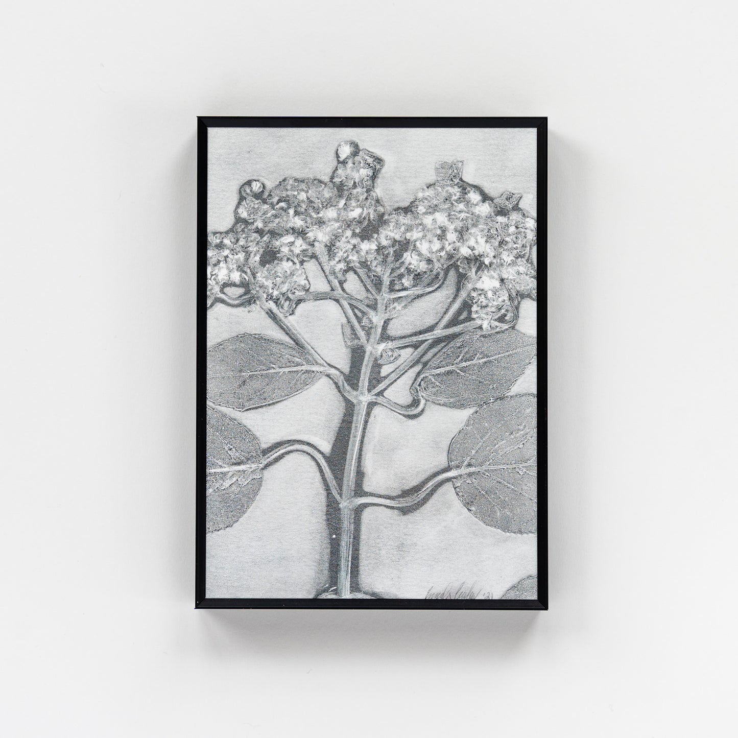 Nature Walk Monoprint I