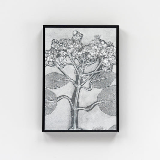 Nature Walk Monoprint I