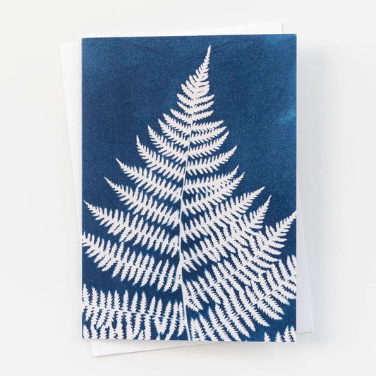 Botanical Cyanotype Card | Fern