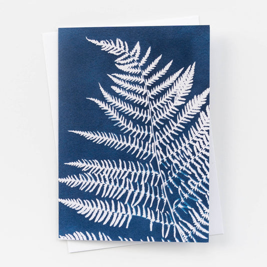 Botanical Cyanotype Card | Fern