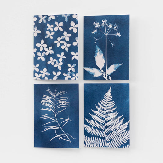 Botanical Cyanotype Card Set of 4