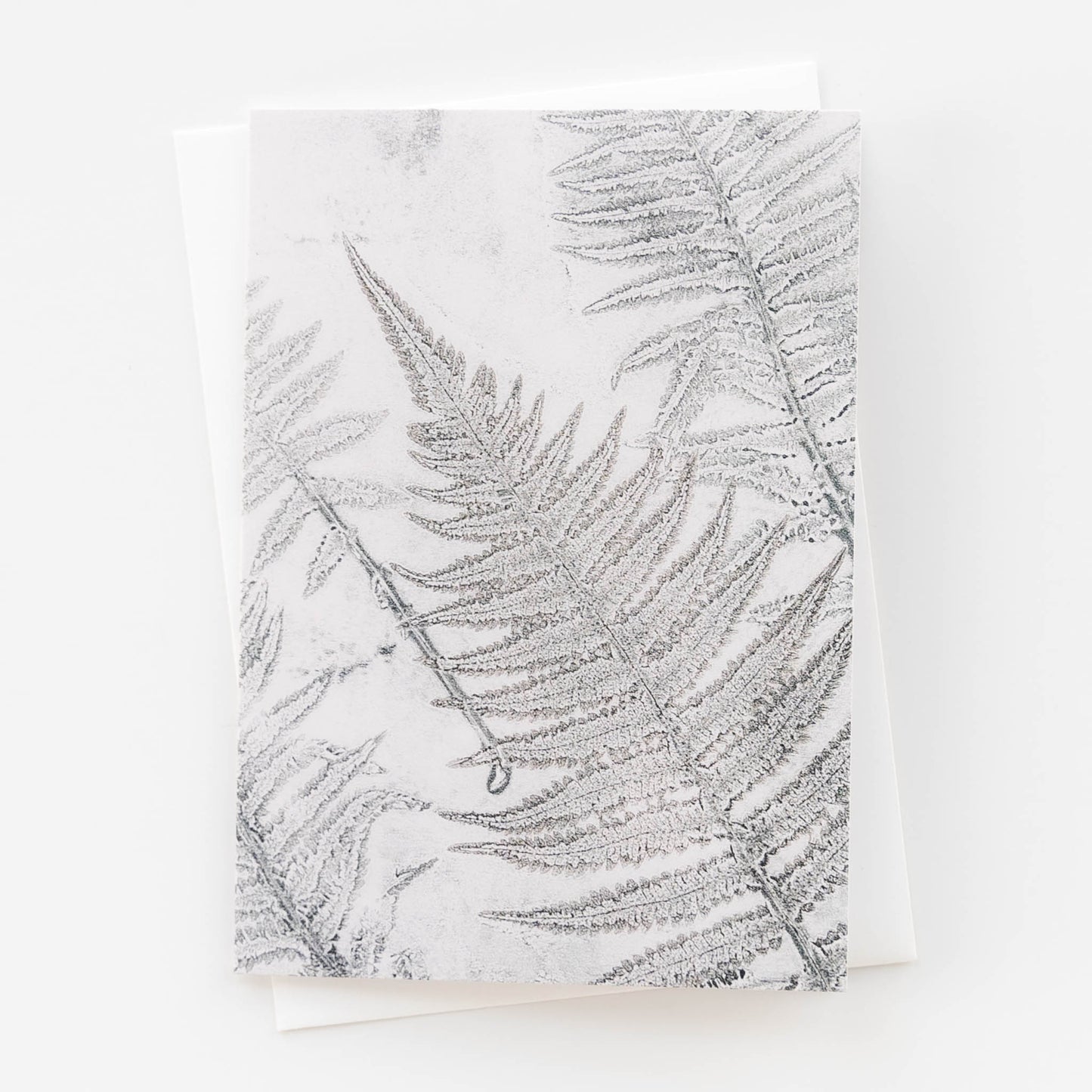 Fern Print Fine Art Card