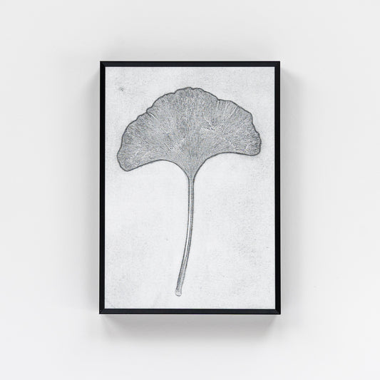 Ginkgo Leaf Monoprint II