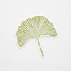 Green vinyl ginkgo leaf sticker
