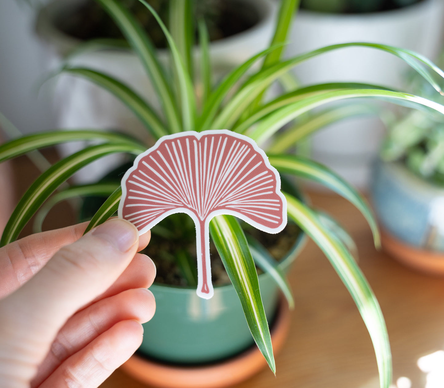 Hand holding a pink ginkgo leaf sticker in front of a house plant